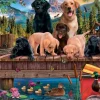 Chiens et Canards (Famille)