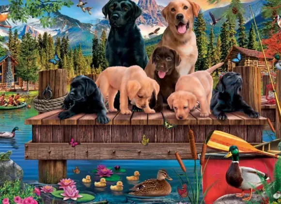 Chiens et Canards (Famille)
