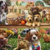 Chiens et Chats