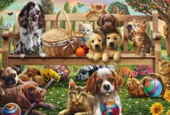 Chiens et Chats