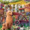 Chiens mignons dans le Jardin