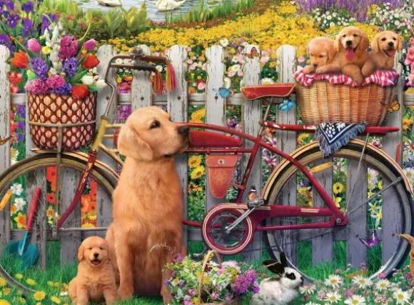 Chiens mignons dans le Jardin