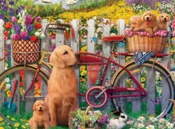 Chiens mignons dans le Jardin