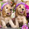 Chiots aux Chapeaux de Fleurs
