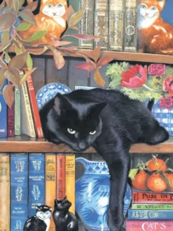 Chrissy Snelling - On the Shelf