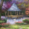 Chuck Pinson - Chuck Pinson - Swan Pond