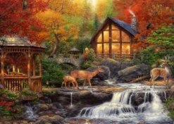 Chuck Pinson - Chuck Pinson - The Colors of Life