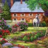 Chuck Pinson - Chuck Pinson - The Sweet Garden