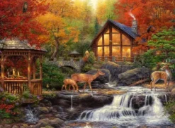 Chuck Pinson - Chuck Pinson - The Colors of Life