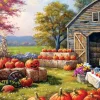 Citrouilles à Vendre