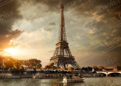 Clouds over Paris