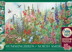 Colibris d'Amérique du Nord