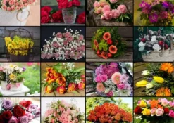 Collage - Bouquets de Fleurs
