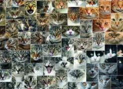 Collage - Chats