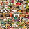 Collage - Couleurs dans la Cuisine