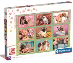 Collage de Chiots