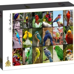 Collage - Oiseaux Colorés