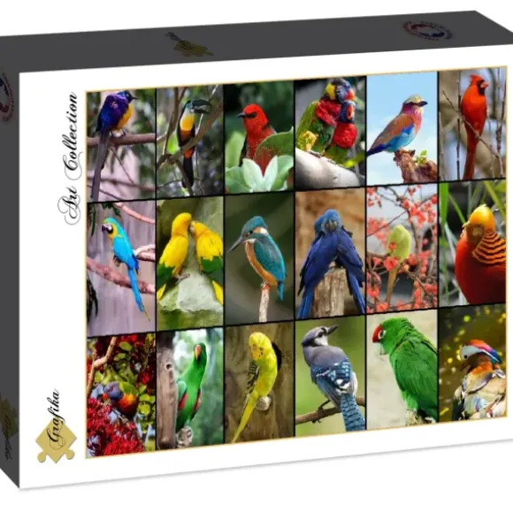 Collage - Oiseaux Colorés