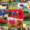 Collage - Vélos