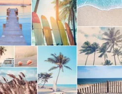 Collection Evasion - En Bord de Plage