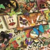 Collectionneur De Papillons