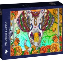 Colorful Elephant
