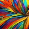 Colorful Feathers