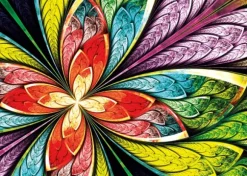 Colorful Flower