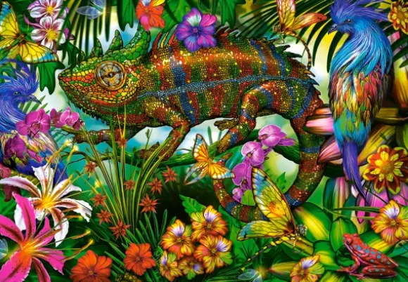 Concours de Couleurs