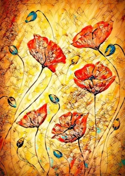 Coquelicots rouges