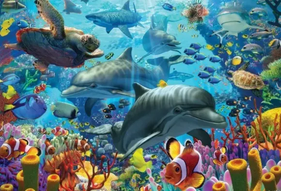 Coral Sea