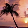 Coucher de Soleil au Paradis