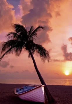 Coucher de Soleil au Paradis