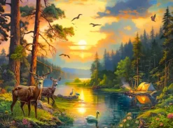 Coucher de Soleil sur la Rivière de la Forêt