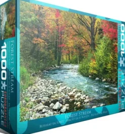 Cours d'eau dans la Forêt