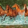 Course de la Cascade