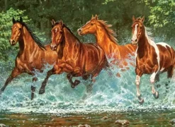 Course de la Cascade