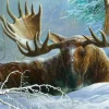 Couverture d'Hiver