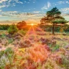 Crépuscule sur la Lande