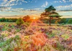 Crépuscule sur la Lande