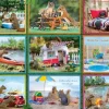 Écureuils en Vacances