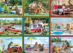 Écureuils en Vacances