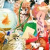 Curious Cats