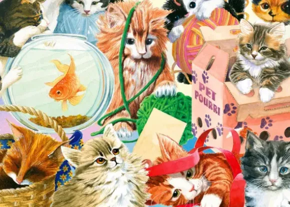 Curious Cats