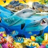 Dauphins sous les Tropiques