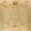 De Vinci Léonard - De Vinci - L'Homme de Vitruve