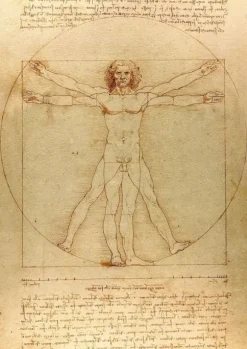 De Vinci Léonard - De Vinci - L'Homme de Vitruve