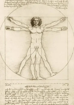 De Vinci Léonard - Leonard De Vinci - The Vitruvian Man, 1490