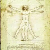 De Vinci Léonard - Leonard de Vinci : L'homme de Vitruve