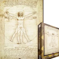 De Vinci Léonard - Leonard de Vinci : L'homme de Vitruve
